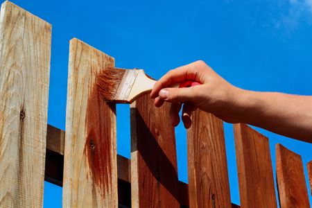 Maintain Your Fencing with Quality Staining