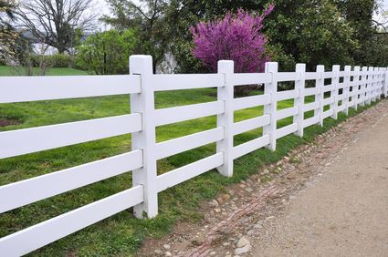 Fence Painting - Texas